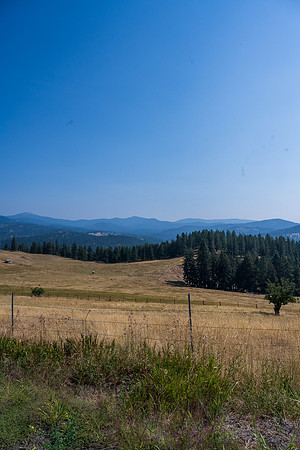 _CHD8368