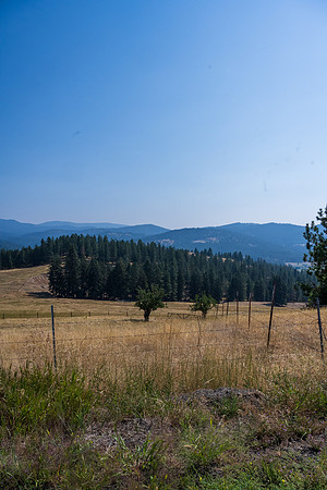 _CHD8369