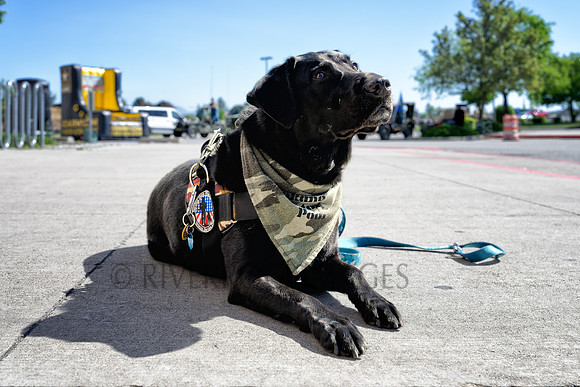 _CHE3893-DxO_DeepPRIME 3-Edit