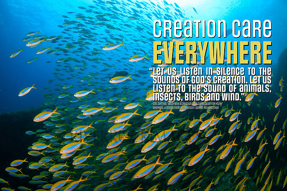 Creation Care - Fish 16 by 24 300 dpi