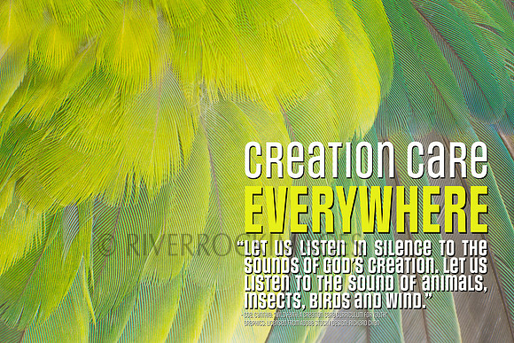 Creation Care - Feathers 16 by 24 300 dpi