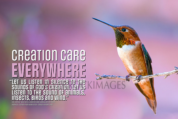 Creation Care - Hummingbird 16 by 24 300 dpi