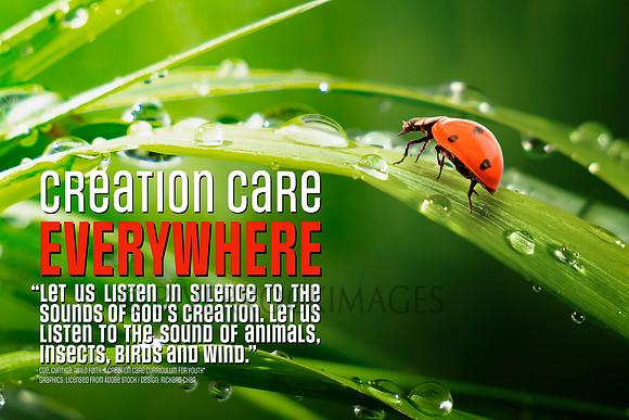 Creation Care - Lady Bug 16 by 24 300 dpi