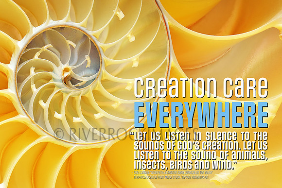 Creation Care - Nautilus 16 by 24 300 dpi