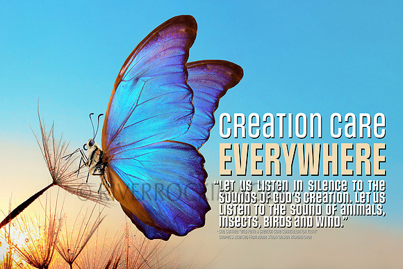 Creation Care - Butterfly 16 by 24 300 dpi