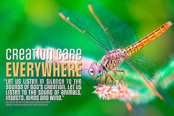 Creation Care - Dragon Fly 16 by 24 300 dpi