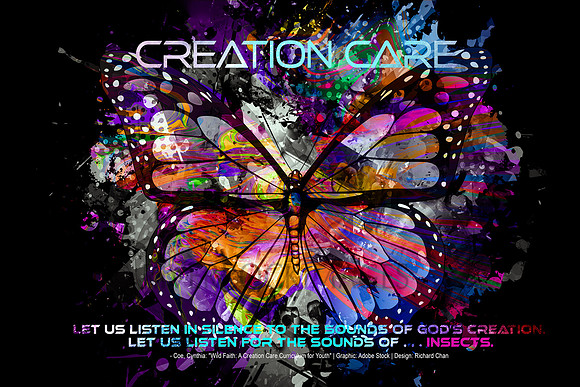 Creation Care - 2022 - Butterfly 16 by 24 300 dpi