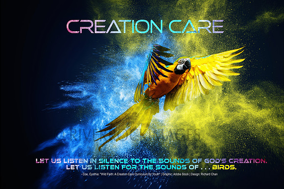 Creation Care - 2022 - Parrott 16 by 24 300 dpi