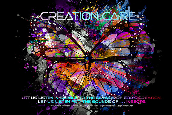 CreationCareButterfly