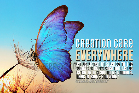 Creation Care - Butterfly