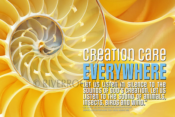 Creation Care - Nautilus