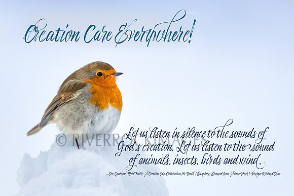 Creation Care - Bird in Snow 16 by 24 300 dpi