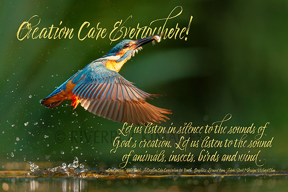 Creation Care - Kingfisher 16 by 24 300 dpi