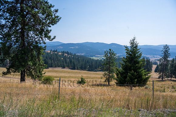 _CHD8367