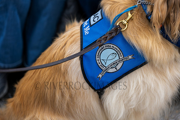 _CHD5876-NEF-Edit
