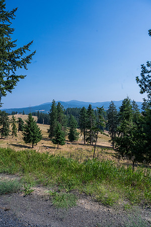 _CHD8366