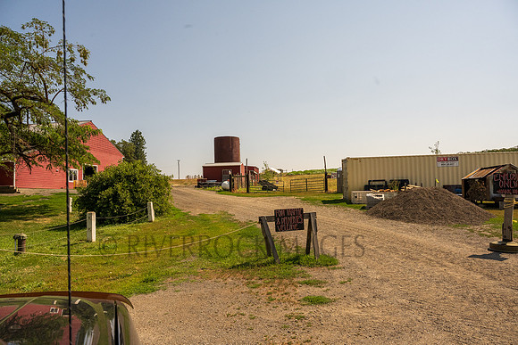 _CHD8390