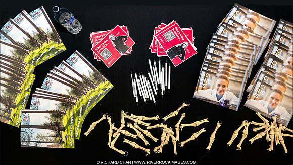 _CHC9197-NEF-Edit