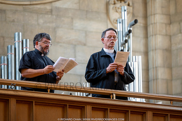 _CHD8350-NEF_DxO_DeepPRIME-Edit