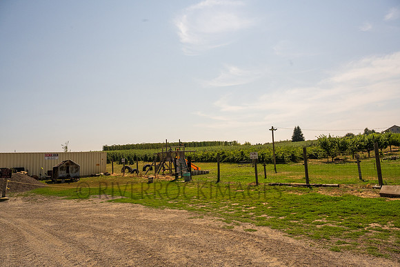 _CHD8389