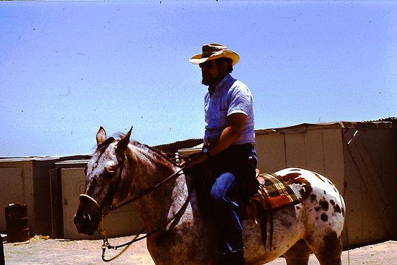 27 Clint riding stable horse 1976