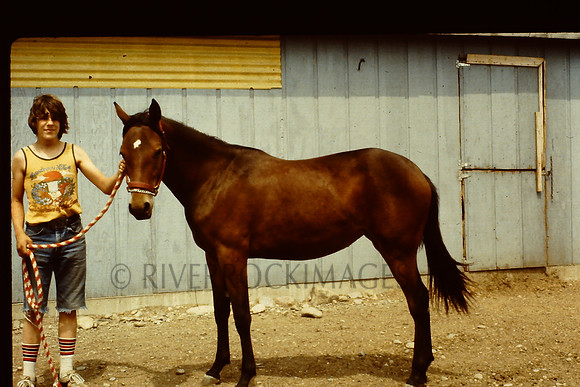 29 1908s Mike and Cotati's foal