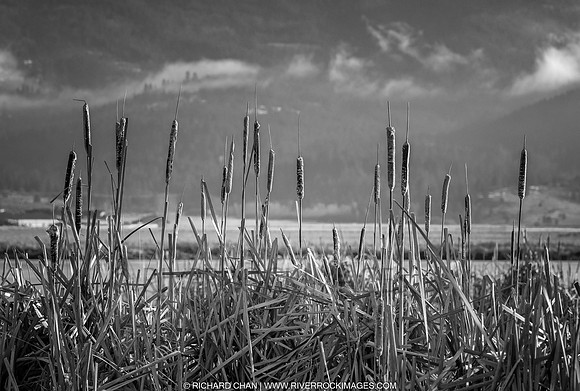 _CHD4587-Edit-Edit-Edit