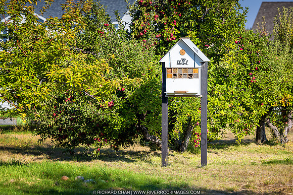 _CHD4937-NEF_DxO_DeepPRIME-Edit-Edit-2